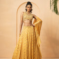 Golden Mirror and Pearl Embellished Lehenga image 0