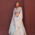 Powder Blue Flamingo Embroidered Lehenga Set image 0