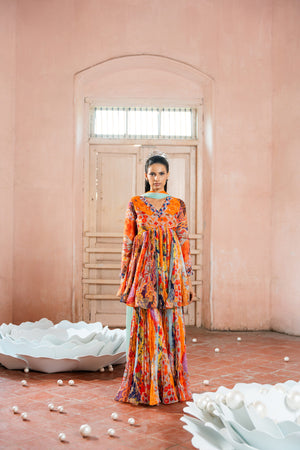 Eclectic Sharara Set - L image