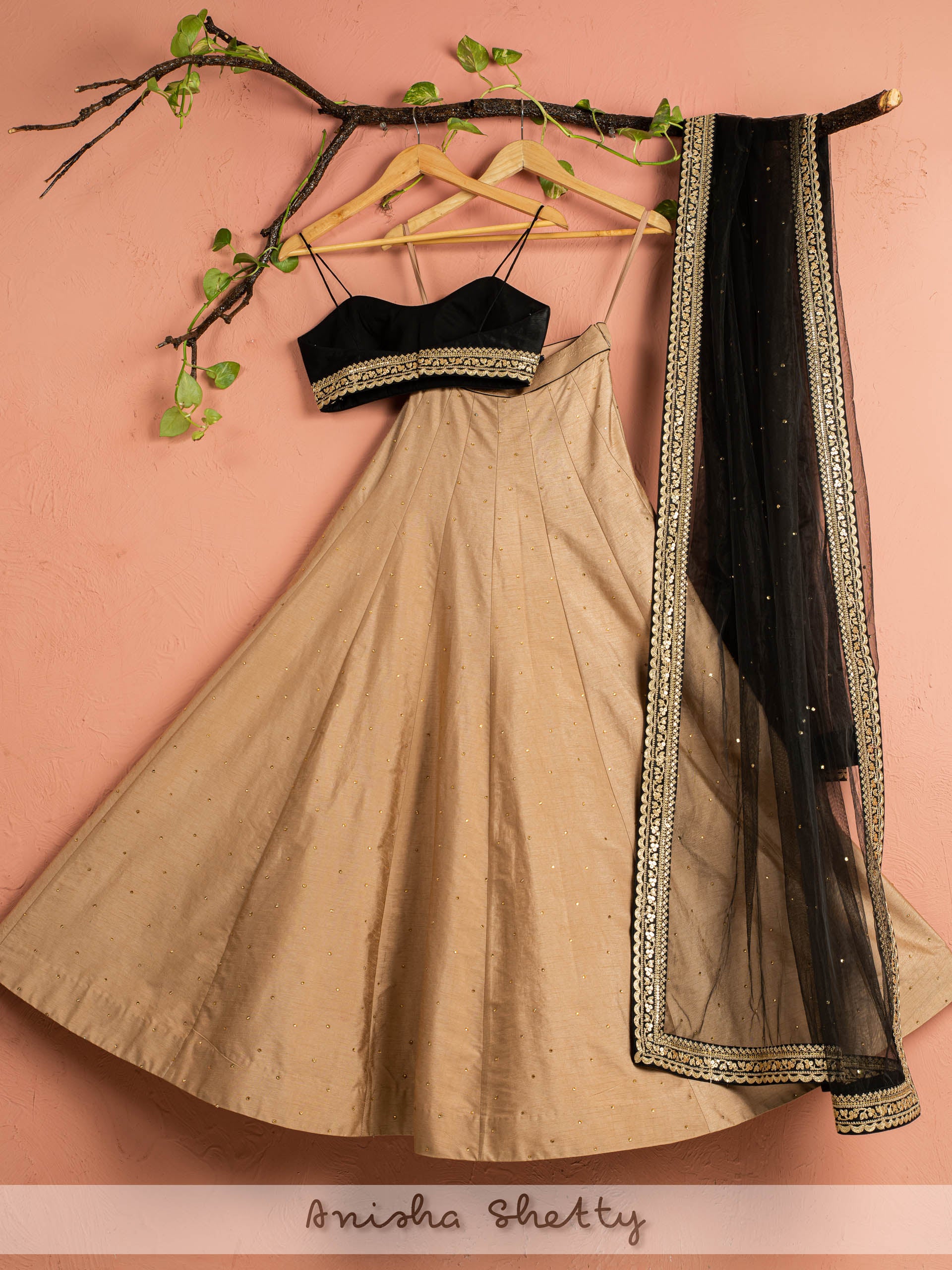 Nude Shimmer Lehenga Set image 1
