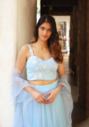 Powder Blue Bustier with Tulle Skirt image 3