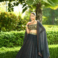 Jahaan Lehenga Set image 0