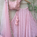 Baby Pink Lucknowi Lehenga image 0