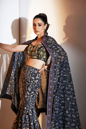 Serena Lehenga Set image 13