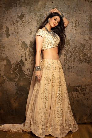 Beige and Ivory Hand Embroidered Lehenga Set image 2