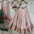 Powder Pink Sharmily Lehenga Set image 0