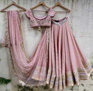 Nude Pink Embroidered Lehenga Set image 2