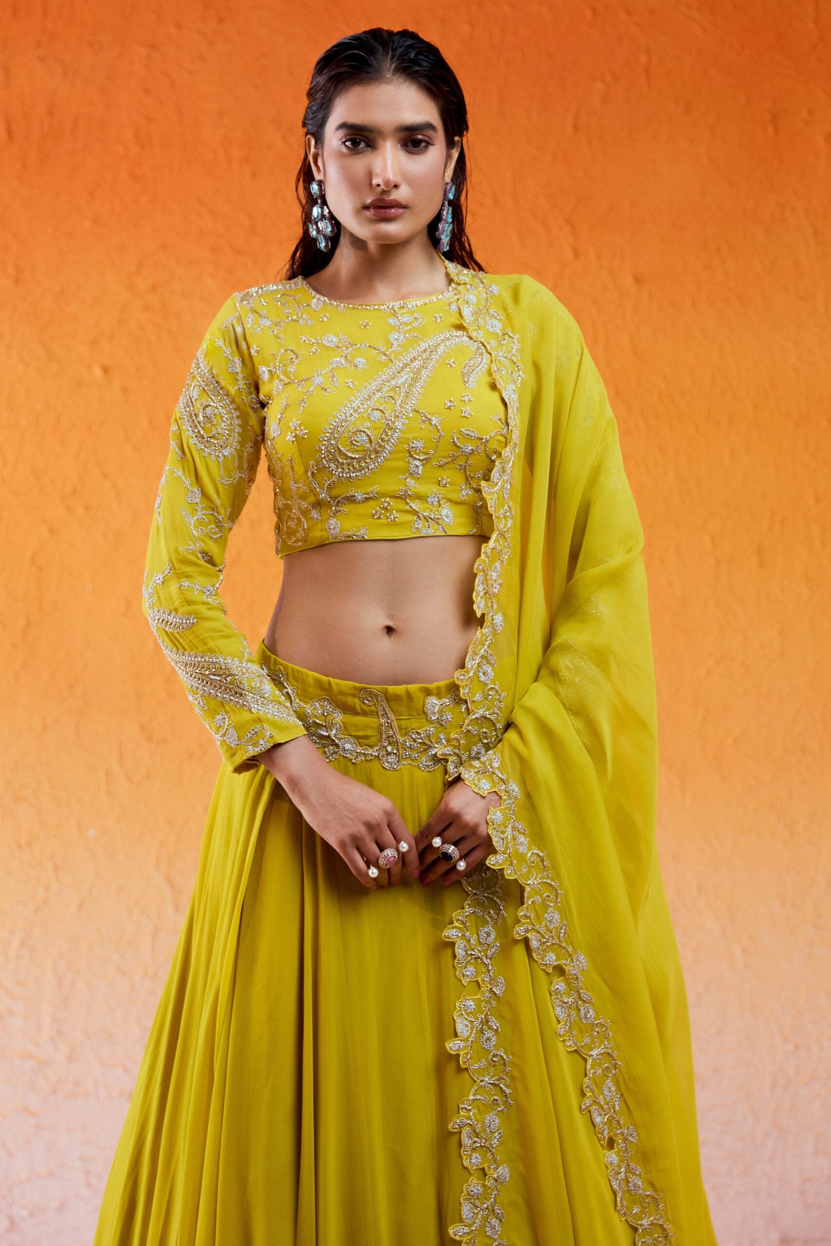 Daisy Yellow Embroidered Lehenga Set image 5