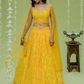 Sunshine Embroidered Lehenga Set image 0