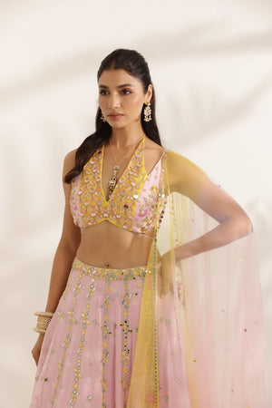 Pastel Pink and Yellow Mirror Work lehenga image 2