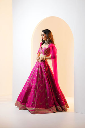Rania Lehenga Set image 4