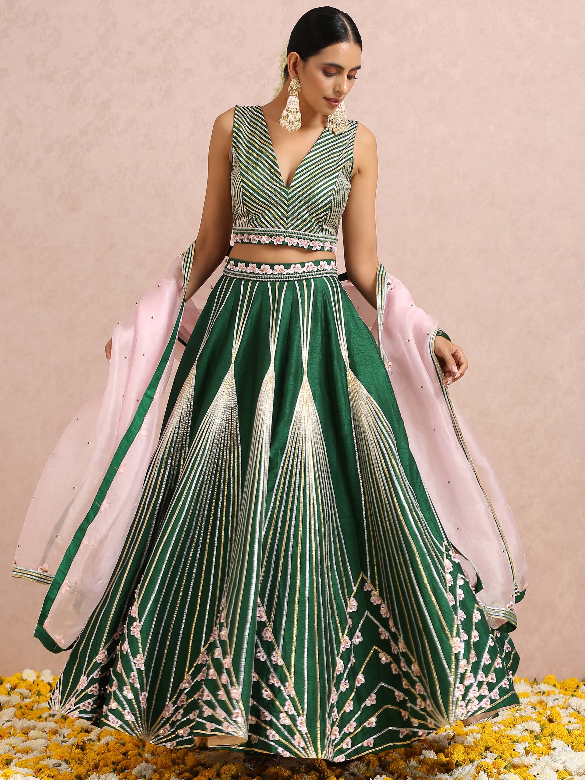 Green Embroidered Stripe Lehenga Set with Sleeveless Blouse - S image