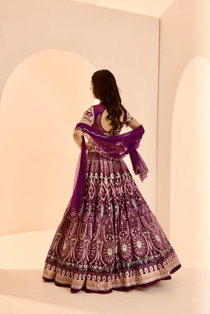 Sitara Lehenga Set image 4