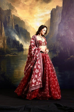Khoob Lehenga Set image 3