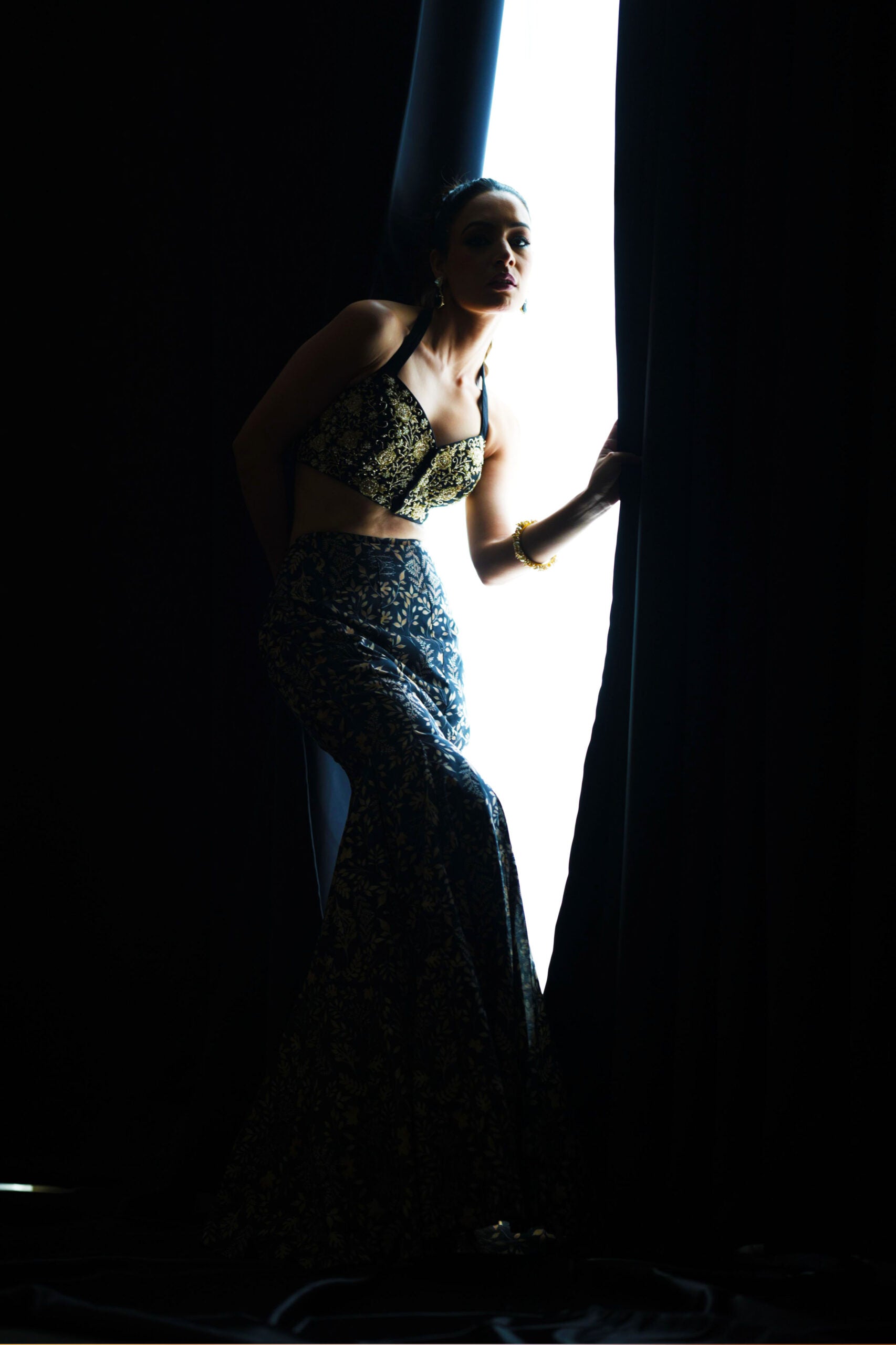 Serena Lehenga Set image 2