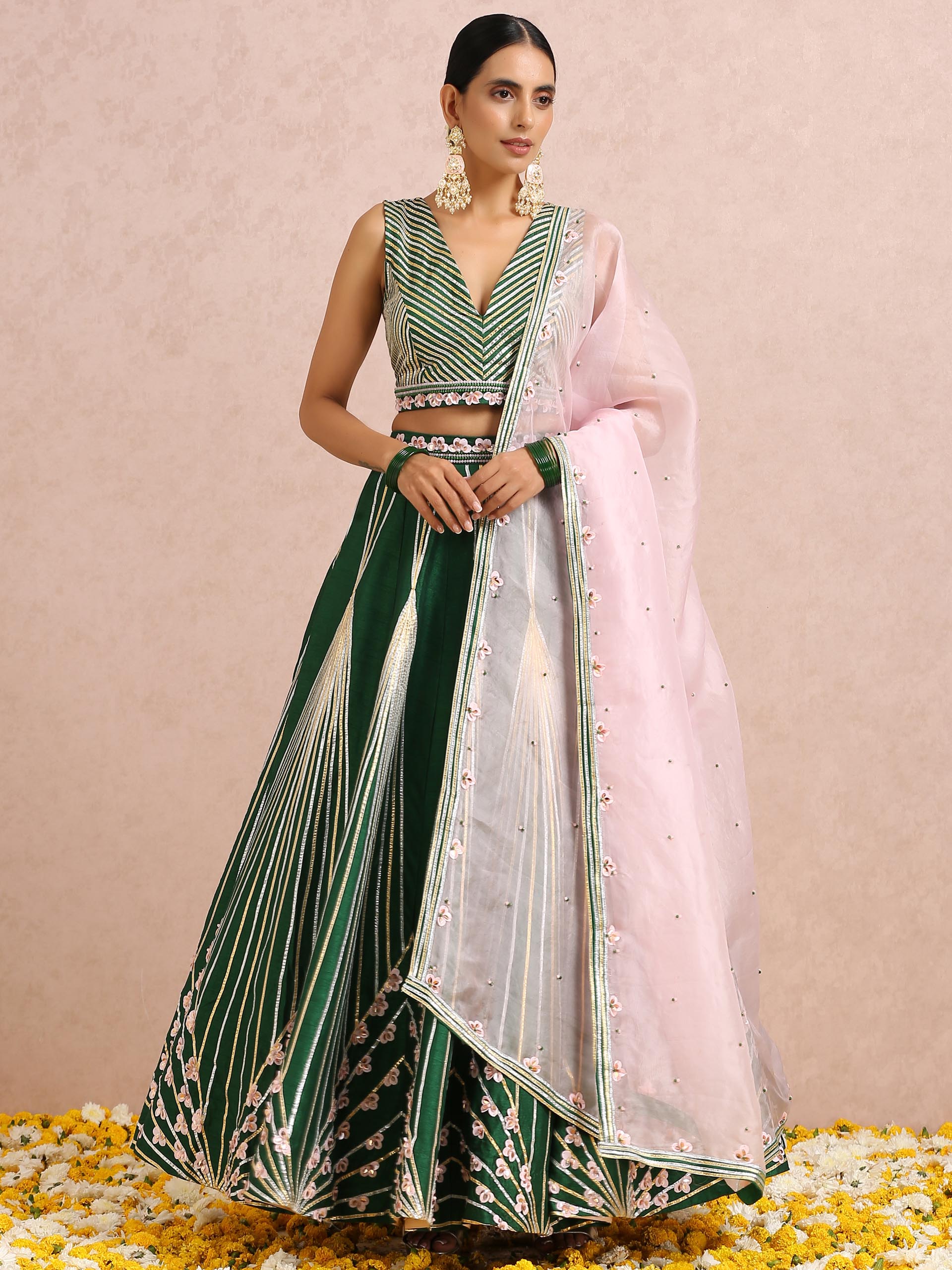 Green Embroidered Stripe Lehenga Set with Sleeveless Blouse image 3