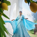 Blue Cape Lehenga Set image 0