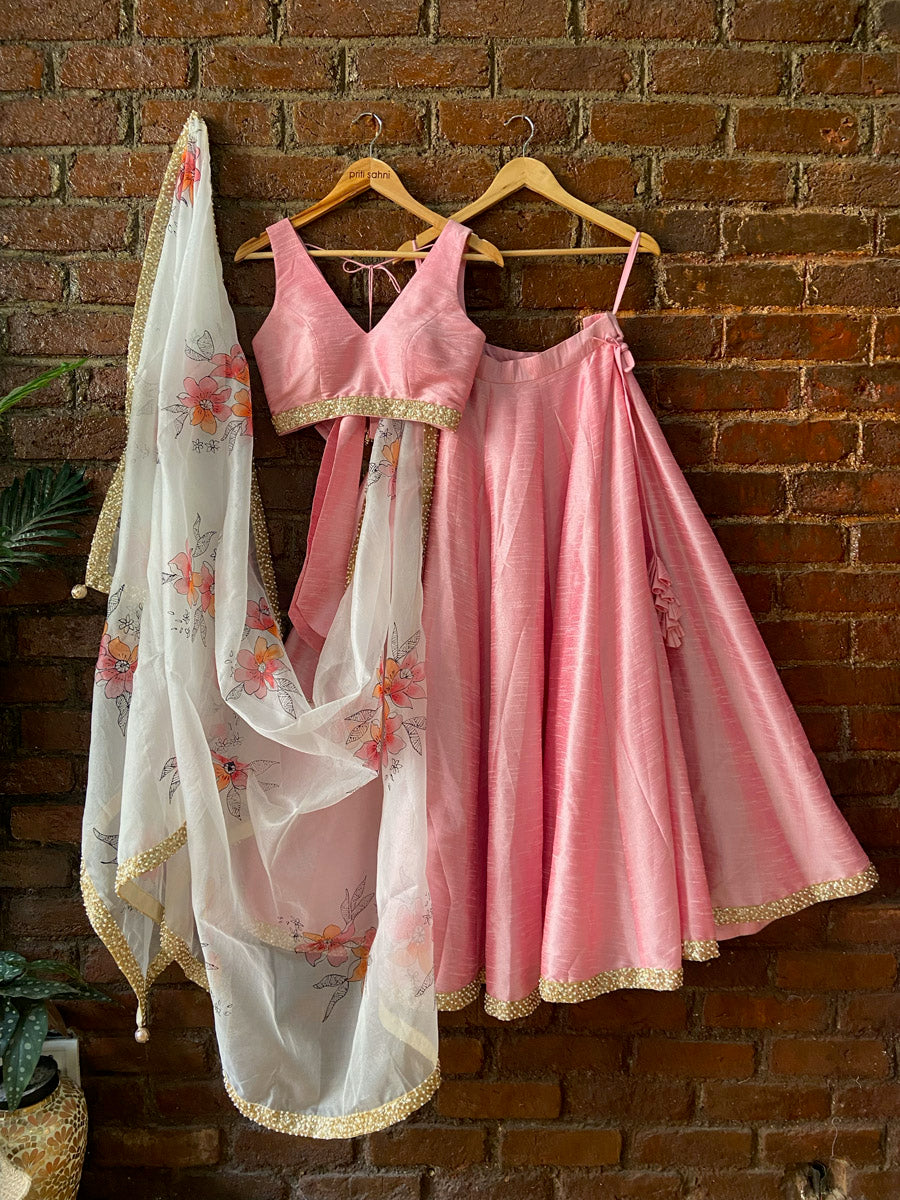 Pink and Ivory Hand Painted Lehenga Set image 0