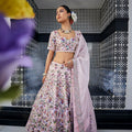 Light Pink Double Layer Lehenga image 0