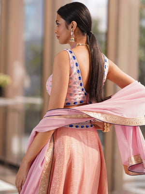 Blush Pink Ruhi Lehenga Set image 3