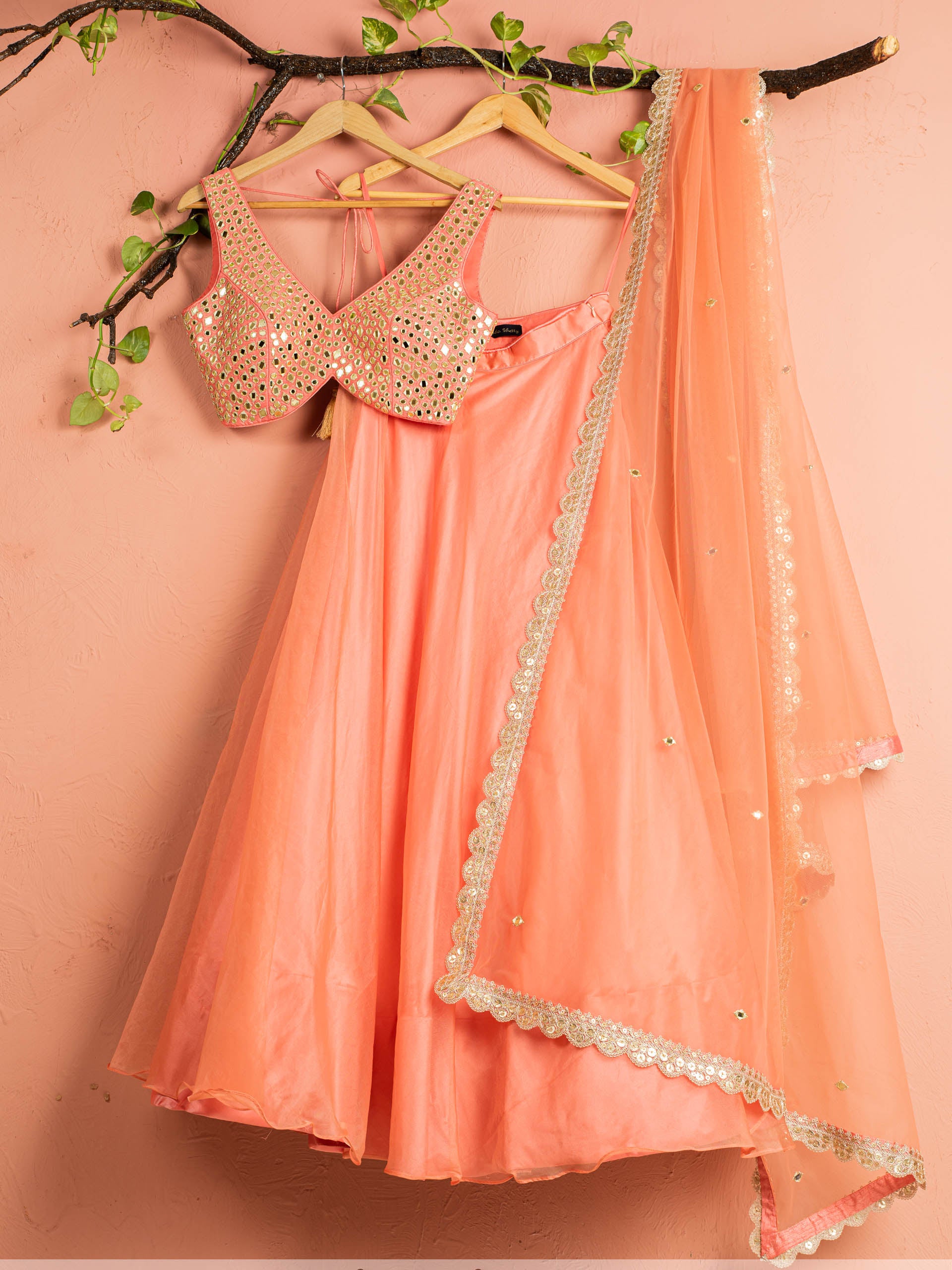 Melon Orange Lehenga Set - L image
