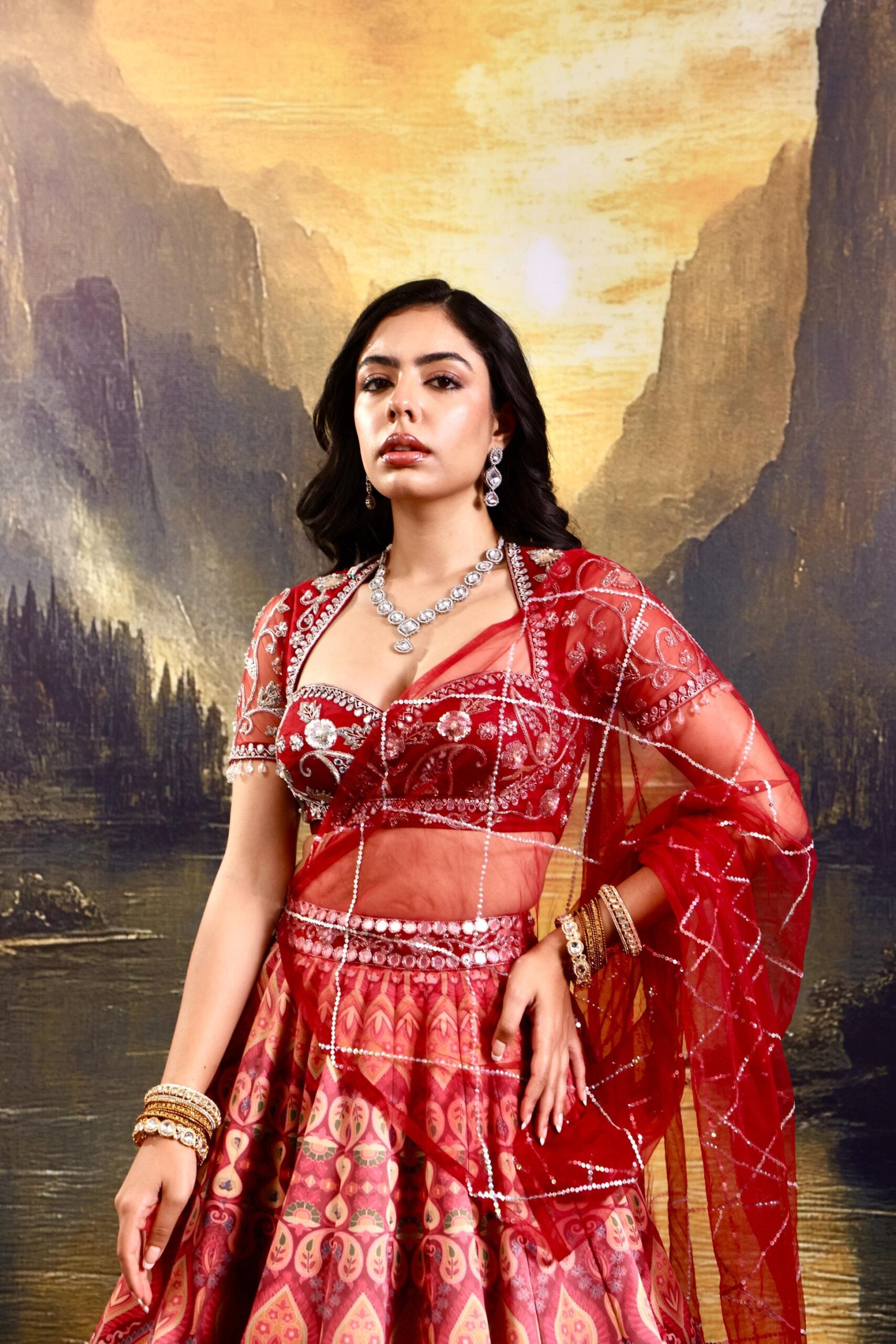 Noor Lehenga Set image 5