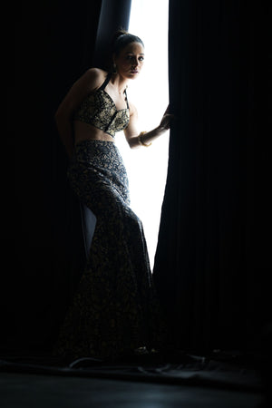 Serena Lehenga Set image 3