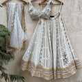 Ivory Multipanel Embroidered Lehenga Set With Mirror Blouse image 0