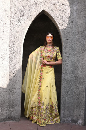 Lemon Yellow Embroidered Lehenga Set image 3