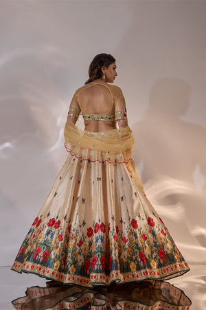 Sona Lehenga Set image 2