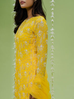 Sunshine Embroidered Sharara Set image 3