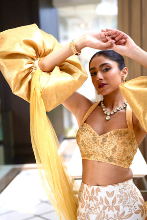 Nisha Lehenga Set image 6