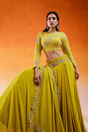 Daisy Yellow Embroidered Lehenga Set image 2