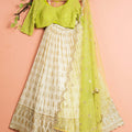 Ivory and Lime Green Lehenga Set image 0