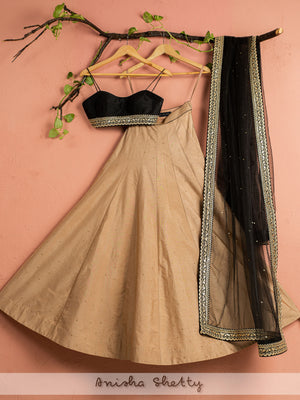 Nude Shimmer Lehenga Set - Custom image