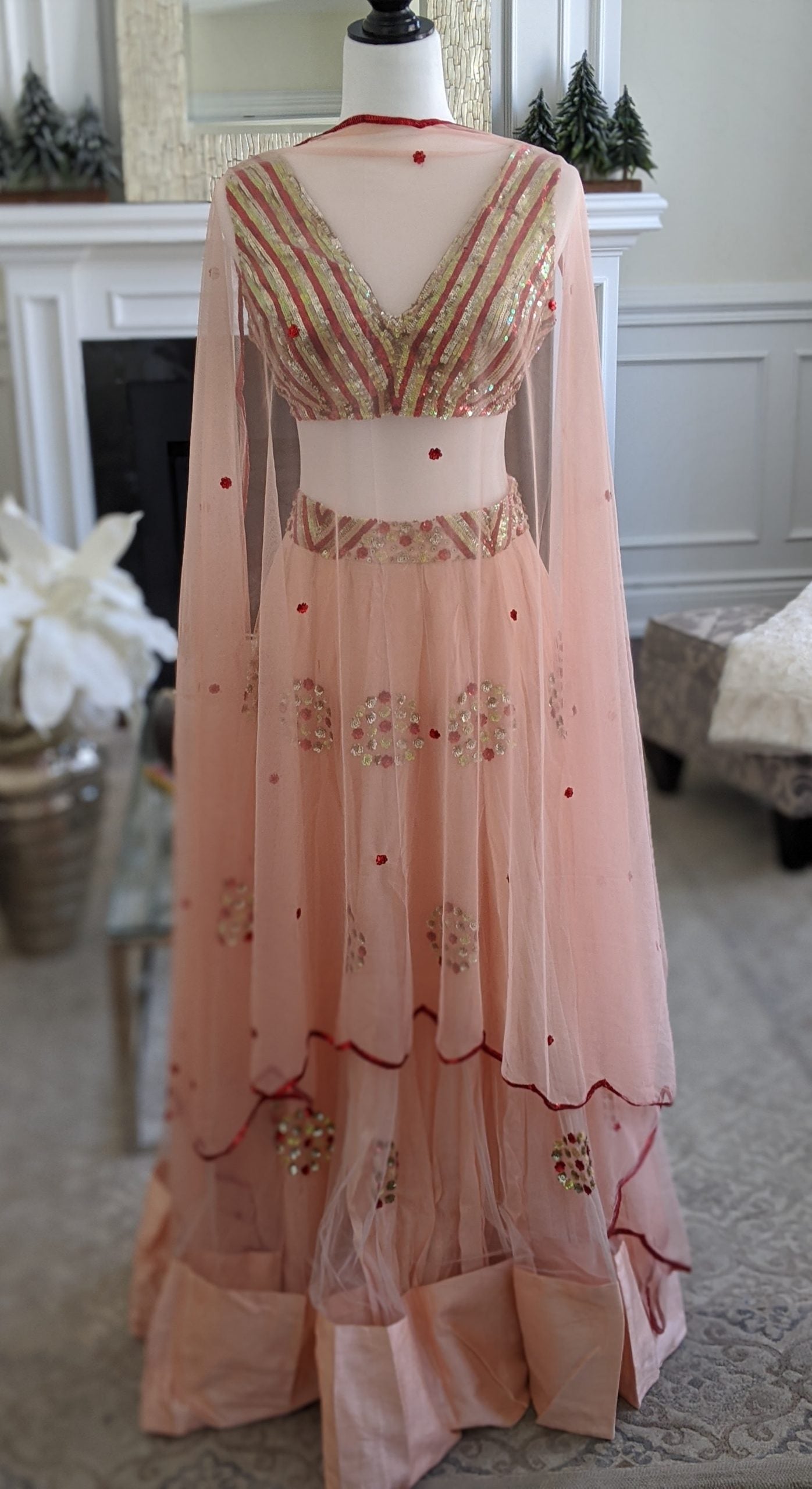 Peach Embroidered Lehenga Set image 1