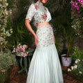 Sea Green Silhouette Lehenga image 0