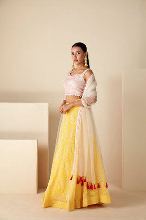Yellow and White Lehenga Set image 2