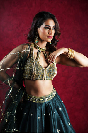 Jeeva Lehenga Set image 9