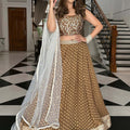 Olive Brown Leaf Lehenga Set image 0