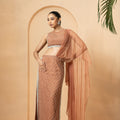 Beige Crystal Embellished Drape Saree image 0