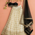 Ivory and Black Shimmer Lehenga Set image 0