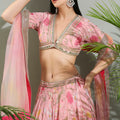 Blush Pink Floral Lehenga Set image 0
