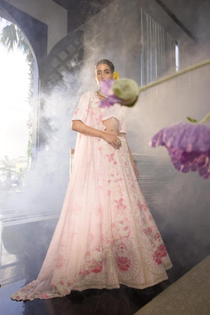 Baby Pink Sammy Lehenga Set image 1