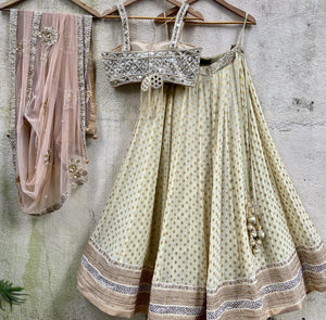 Pale Yellow Lehenga Set image 2