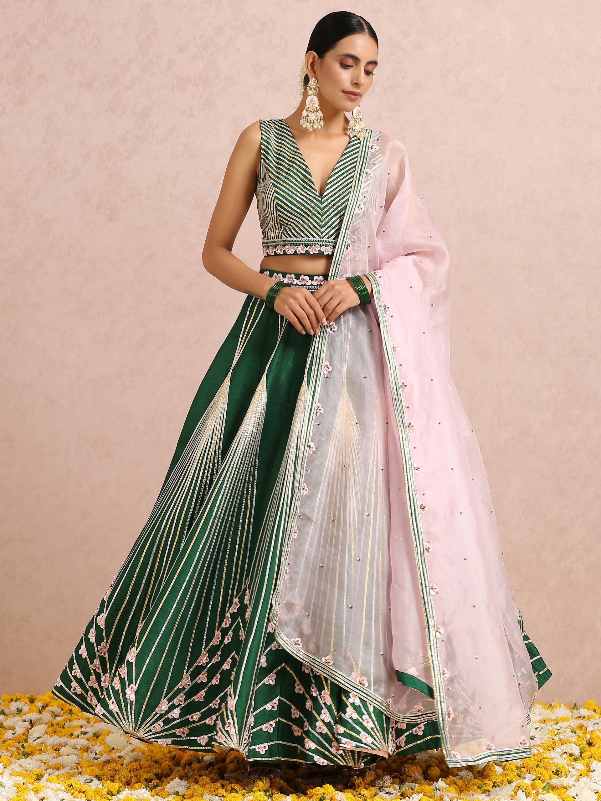 Green Embroidered Stripe Lehenga Set with Sleeveless Blouse image 2