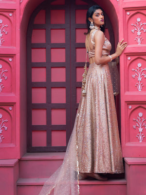Gold Shimmer Lehenga Set image 4