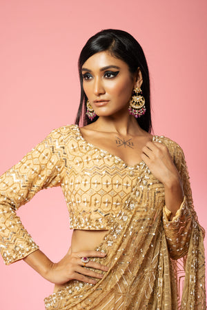 Golden Georgette Embroidered Saree image 4