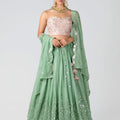 Light Pink and Green Shimmer Lehenga Set image 0