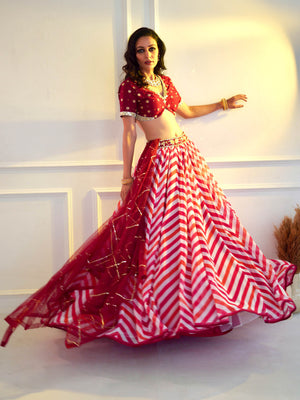 Maroon Myrah Chevron Lehenga Set image 3